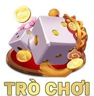 Lỗi bi-a